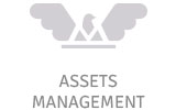 Consulting and asset management